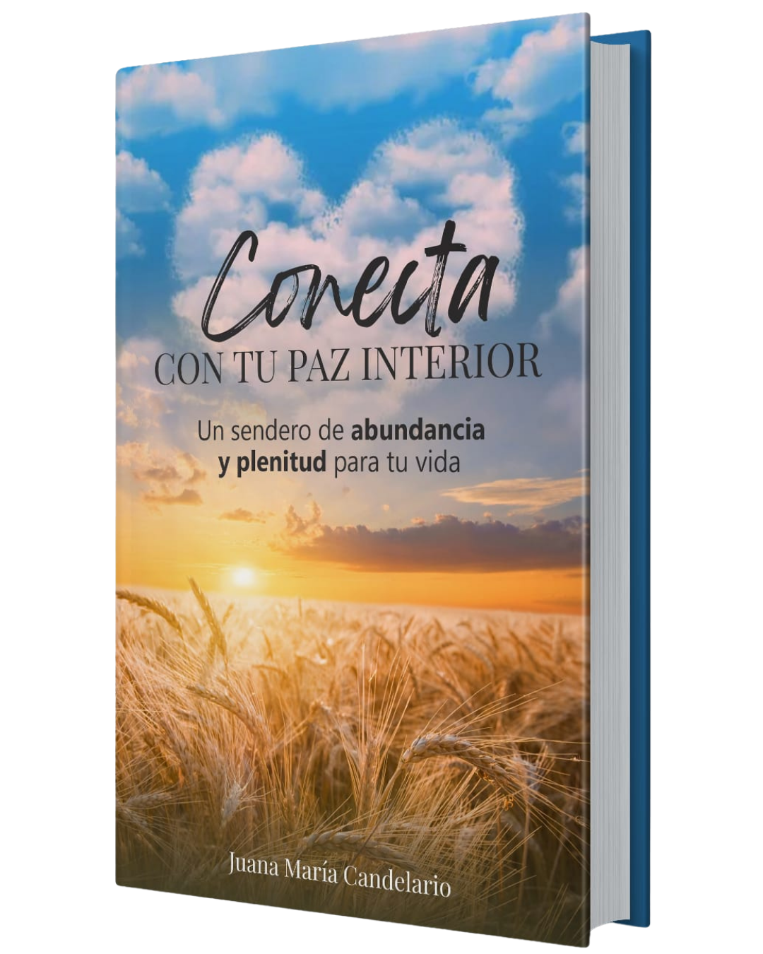 Portada del libro Conecta con tu paz interior